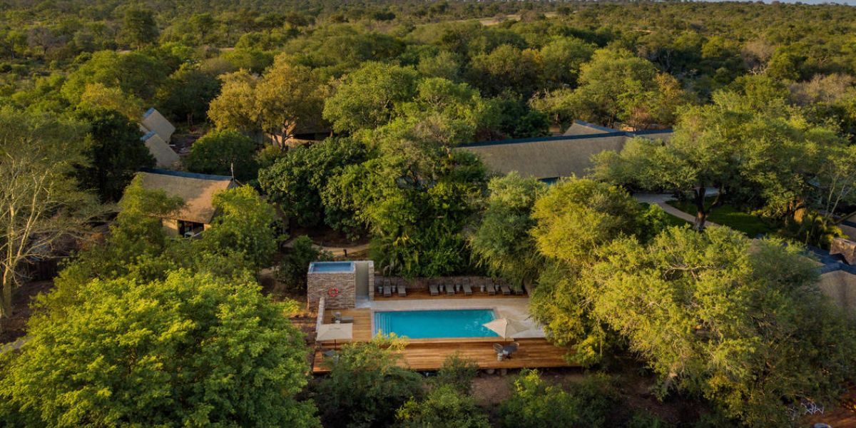 Thornybush Collection