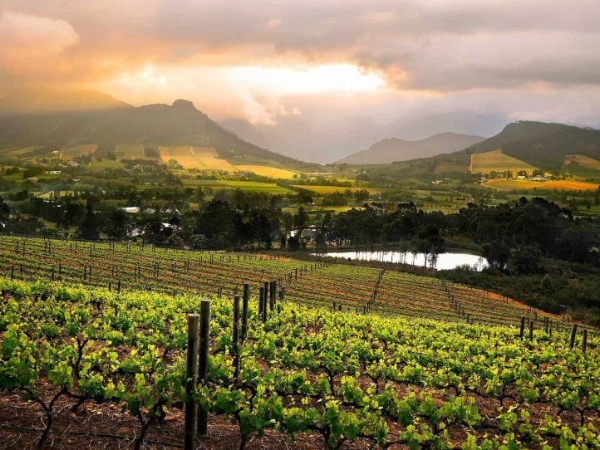 Franschhoek Wine Valley