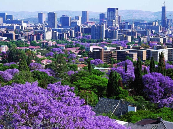 Johannesburg, Pretoria & Surrounds